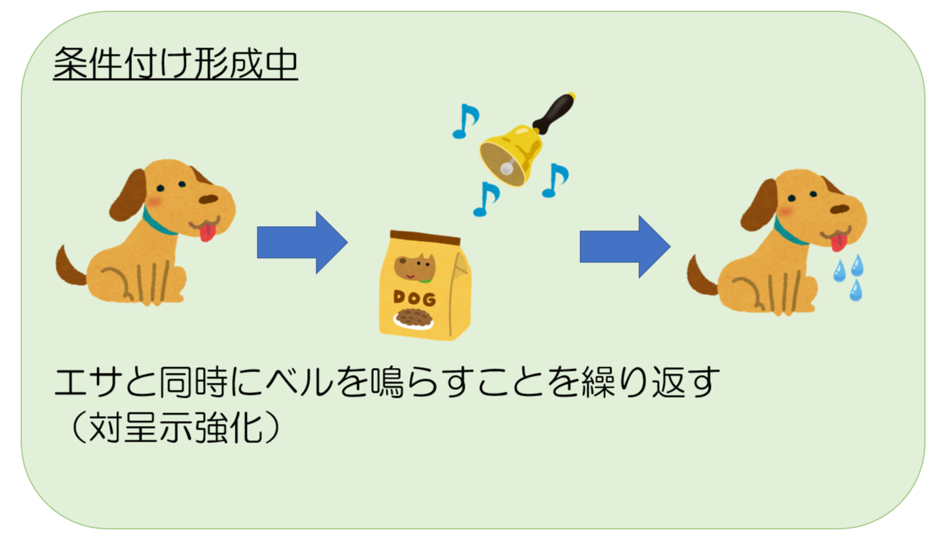 古典的条件づけの意味とは ダイコミュ用語集